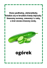 Zagadki owoce i warzywa.png