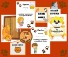 DZIEŃ KOTKA PROJEKT (1).png