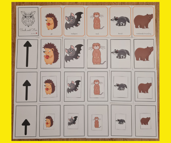 WIOSENNE SEGREGOWANIE (4).png